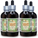 Carline Thistle (Carlina acaulis) Gliceinit, Suszony Korzeń Bezalkoholowy ekstrakt płynny (Nazwa marki: HerbalTerra, Proudly Made in USA) 4x4 fl.oz (4x120 ml)