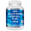 Celulas Madres 60 Kapsułki Vitamisan 1000 mg Aphanizomenon Flos- aquae Blue Green Algae AFA Stem Natural Cell