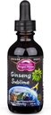 Dragon Herbs Ginseng Sublime Drops 124; All Natural Extract Supplement to Support Energy, Stress, Focus, Skóra, Wytrzymałość, Płuca, Immune Health Birth124; American, Red, and White Ginseng Birth12 4; 2 fl. oz