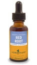 Herb Pharm Red Root Liquid Extract Drops for Cleansing and Detoxifying, 1 Oz