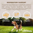 Doggie Condiments Pet Rescue Support A Natural Dog Supplement for Optimal Dog Breathing, Przezroczyste zatoki, Kaszel, Sneezing and Congestion Relief for Dogs
