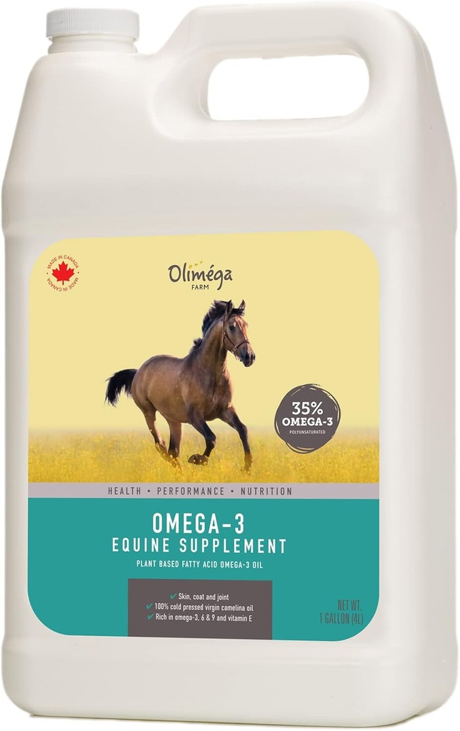 Camelina Oil for Horses, 1 Gallon by Olimega Farm Well124; Wysoka w Omega-3 & Witamina E Well124; Wsparcie dla zdrowych połączeń, Coat & Skin Well124; Pure & Cold Pressed Netting 124; Suplement Joint Supplement; Made in Canada