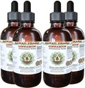 Cynamon Bezalkoholowy ekstrakt płynny, Cynamon (Cinnamomum verum) Suszony Bark Glicerite Hawaii Pharm Natural Herbal Supplement 4x4 oz