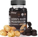 Lions Mane Gummies Mushroom for Nootropic Brain Supplement, Wsparcie immunologiczne, Stress Relief Mushroom Supplement Berrry Flavor 60 Count