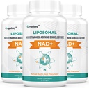 Orgabay Liposomal NAD + Suplement 500 mg, Wysoka Absorpcja, Wzmacnianie NAD + z TMG 250 mg, Rzeczywisty NAD Plus bardziej wydajne niż Nikotynamid Ribozyd, Wsparcie energii komórkowej, Zdrowe Starzenie 124; 180 Softgels