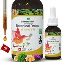 Naturalne krople botaniczne - Enzymy Ginger i Digestive w organicznej formule kompleksowego Wellness, Wsparcie układu immunologicznego, Promowanie Ulgi zapalnej, i zwiększenie krążenia krwi (50ml)