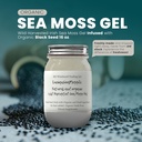 Ashwagandha Mango Sea Moss Gel Organic Fresh Fruit Infused Wild Harberedded Irish Sea Moss Gel Sign 124; Immune and Digestive Support Amend124; Witamina Mineral Antioksydant Supplements Amend124; (16 oz. Ashwagandha Mango)