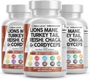 Czyste Lwy Nutraceuticals Mane 20in1 Mushroom Supplement with Turkey Tail Reishi Cordyceps Chaga Maitake Meshima Poria Cocos Shiitake Oyster Porcini Enoki - 3Pack