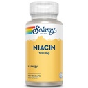 Solaray Niacyna 100mg - witamina B3 Niacyna Suplement dla Kobiet i Mężczyzn, Wspomaga zdrowie komórkowe, Wsparcie układu nerwowego - 100 Kapsułek Veg