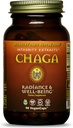 HealthForce SuperFoods Integralność Ekstrakty Chaga - Kapsułki - 90 Kapsułki wegańskie