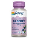 SOLARAY Bilberry Berry Extract 60 mg na kapsułki, potężny przeciwutleniacz, gwarantowana moc dla zdrowej wizji i wsparcia cyrkulacji 120 VegCaps