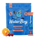 Waterboy Weekend Recovery Equipment 124; 3,200mg Electrolyte Powder Packets Equipment 124; Ginger + L- Theanine + Vitamin Equipment 124; No Sugar, All Natural, gluten Free Equipment 124; 24 Drink Stick Mixes (Fruit Punch)