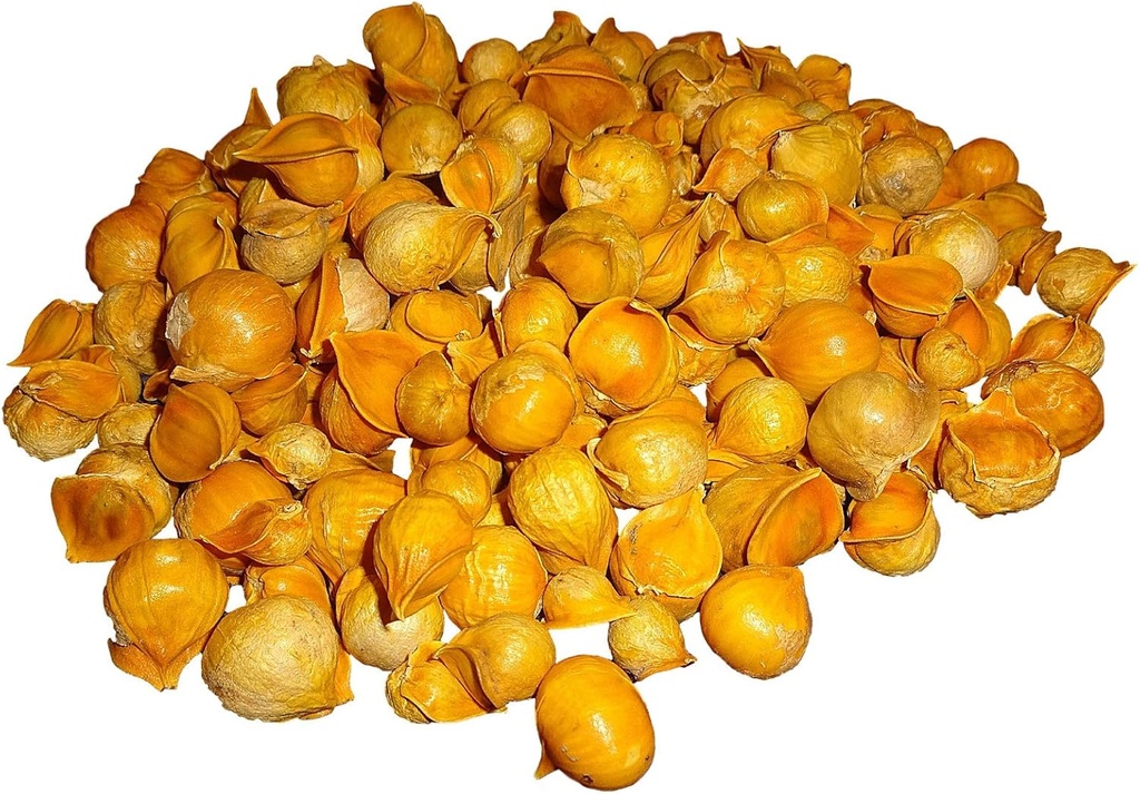 Japoński czosnek / / AJO Japońce (100% naturalne!!) Różne wagi: (1 Lb, 5 Lbs i 10 Lbs) (5 Lbs)