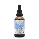 Astragalus USDA Organic Alcohol Free Extract Astragalus 124; Suplement diety, Wysokomocna nalewka Astragalus; Natural Certified Organic Astragalus (Astragalus Dicolaceus) Suszony korzeń (2 oz)