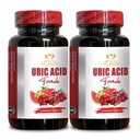 Wsparcie dla kwasu URIC - Przywracanie wspólnego komfortu, Mobilność, Elastyczność, Obejmuje Tart Cherry, Chanca Piedra, Seler Extract & Turmeric - 2 Butelki 120 Kapsułki