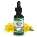 Nature 's Response Mullein Herb - Ekstrakt Mullein Leaf dla płuc - Alkohol wolny, Nie GMO, Made in USA - Wspiera funkcje oddechowe i promuje zdrowe płuca - Mullein Leaf 1 Ounce Extract