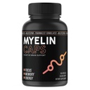 Myelin Czapki, Suplement do Zdrowia Mózgu, Suplement Focus & Zdrowie mózgu z AlphaSize, Pamięć i funkcje Cognitive Wsparcie, Gluten- Free, Non-GMO (90 Kapsułki)
