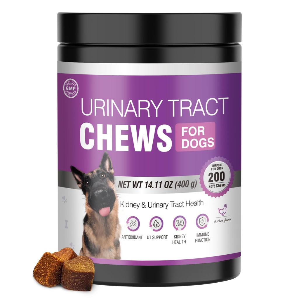 Dog UTI Leczenie Żurawina Suplement dla psów 200 Przeżuć Trawnik moczowy Lek Bladder Pills Nerki Wsparcie Cranberrys Ekstrakt Bites Szczeniak UTI Leczenie zakażenia Nietrzymanie moczu Remedy dla psów