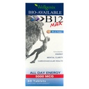 Wellgenix Bio-Available Podjęzykowy B12 B6 Witamina foliowa preparowana do wysokiej absorpcji - Nutritional Multivitamin Supplement (60 ct) 1 Opakowanie