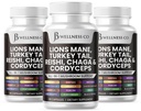Lions Mane Supplement Wsparcie Cognitive, Zdrowie immunologiczne z Turcji Ogon 20in1 Mushroom Reishi Cordyceps Chaga z Marshmallow Root -180 Count
