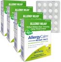 Boiron AllergyCalm Tablets 240 Count, Relief from Allergies and Hay Fever Symptom of Sneezing, Runny Nos, Swędzacze Oczy, Gardło, Alergia Calm Tabs (Formerly RhinAllergy) (Opakowanie 4 60ct Pudełka)