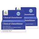 Terry Natural Clinical Glutathione - Przeciwutleniacz do Wysokiej Wchłaniania - Suplement dietetyczny z L- Glutathione - Wegański Suplement do Wsparcia Zdrowia Komórki - 60 Wolne tabletki topnienia (Opakowanie po 2)