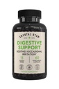Crystal Star Digestive Supplement (60 kapsułek) - Herbal Gut Health Supplement, który pomaga w sporadycznych gazu i wzdęcia - Peppermint, Aloe Vera, Slippery Elm & Ginger - Non-GMO