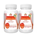 Mastic Gum Kapsułki - Natural Gastrosole Supplement Supplement, 1000mg Per Serving - 120 Kapsułek (2 butelki)