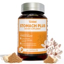 Żołądek Plus- dla żołądka, Gastritis, Żołądek Lining Naprawa, Refluks kwasowy, Heartburn, Niestrawność, z Galangal, Dong Quai, Cynamon i Magnolia- 45 Kapsułki