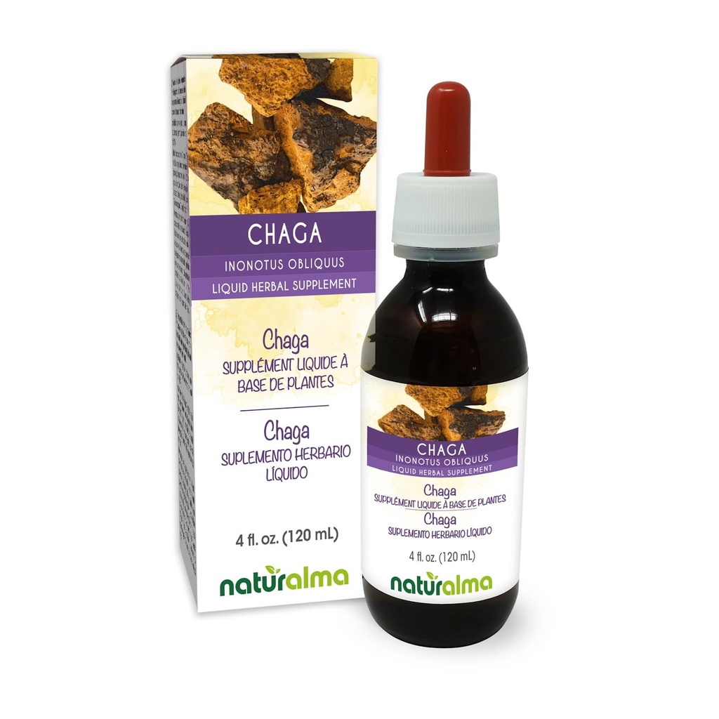 Naturalma Chaga (Inonotus obliquus) Grzyb lub Grzyb bez alkoholu nalewka - 4 fl oz Liquid Extract in Drops - Herbal Supplement - Vegan