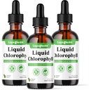 Chlorofil płynny LIQUIDHEALTH - Dezodorant wewnętrzny, przeciwutleniacze, Detox wątroby, Immune Support, Relieve Bad Breath, Reduce Apetite, Collagen for Hair & Skin Health - Wegan, Non-GMO (3 Pack)