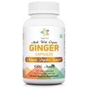 Organiczne kapsułki imbirowe Aura - 120 kapsułki Veg. 2 Miesiące dostaw. Naturalnie zwiększa trawienie, ulga stomach Upset i poprawia odporność. Bez GMO i Gluten Free.