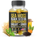Sea Moss, Black Seed Oil, Ashwagandha, Ginger, Shilajit Gummies z Elderberry, Chlorophyll, Turmeric Bladderwrack Sea Moss Gummies Advanced Strength Formula - Wszystko w 1 Bundle - USA Made (60 Gummies)