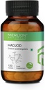 Hadjod tabletki 124; Cissus Quadrangularis 124; 500Mg (120 tabletek)