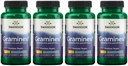 Swanson Maksymalna moc Graminex Flower Pollen Extract - Wspiera zdrowie prostaty, funkcje Traktu moczowego i Nerki Health - Mens Health Supplement - (60 kapsułek, 500 mg każdy) (4 opakowania)