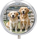 Okrągłe pióro Case 3 Kompleks Golden Retriever Psy Szczenięta Zwierzęta domowe Pudełko Mini Medicine Pill Organizator Przenośny Pillbox Travel for Pocket Purse Metal Pill Container for Vitamin Fish Oil Supplements
