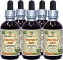 Popiół (Zanthoxylum Clava- herculis) Tincture, Dried Bark Liquid Extract (Nazwa firmowa: HerbalTerra, Proudly Made in USA) 5x2 fl.oz (5x60 ml)