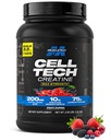 MuscleTech Creature Monhydrate Powder Cell- Tech Creaine Post Workout Recovery Drink Muscle Builder for Men & Women Muscle Building Supplements Fruit Punch, 3 funtów (27 Serv)
