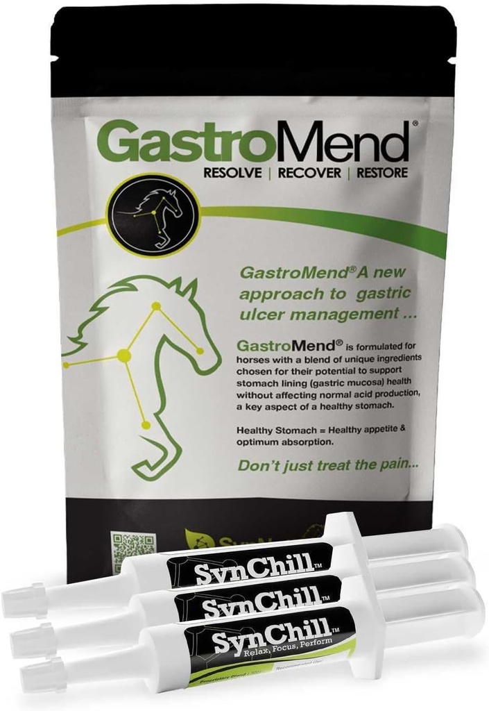 SynChill 3 Pack + GastroMend Bundle for Horses - Kompleksowe wsparcie stomachów & behawioralne, Pomoc w Ulcer Ulcer Relief Gastric, Promotes Calmness & Focus, Wszystkie naturalne, Kosztowne