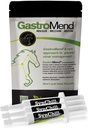 SynChill 3 Pack + GastroMend Bundle for Horses - Kompleksowe wsparcie stomachów & behawioralne, Pomoc w Ulcer Ulcer Relief Gastric, Promotes Calmness & Focus, Wszystkie naturalne, Kosztowne