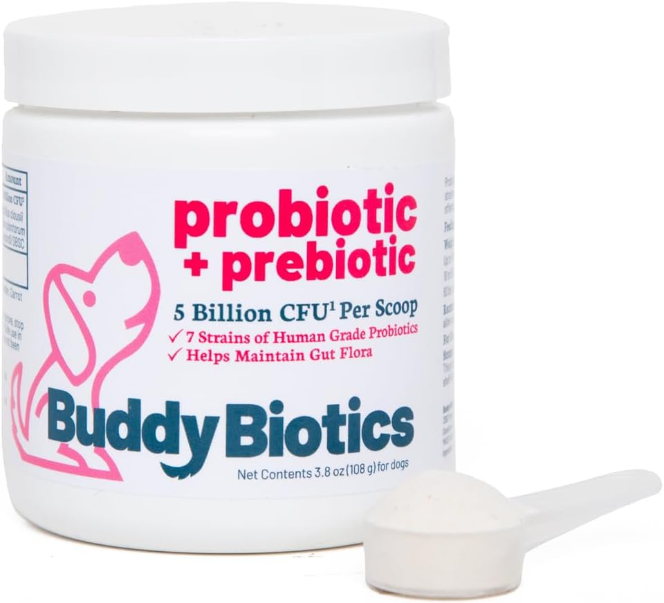 Buddy Biotics Probiotic + Prebiotyk dla Dogs- Gut Flora Health, Digestive i immunologiczne, Biegunka i wsparcie dla jelit - 5 Miliard CFU za Scoop