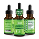 Premia Chlorofil płynne krople - 100% Natural & gluten wolny ciecz Chlorofil - Nie GMO, 118 Służenie