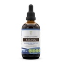 Sekrety nalewki bezalkoholowej Tribe Stevia (Glycerite) 653 mg Made with Stevia (Stevia Rebaudiana) Suszony Liść (4 Fl Oz) Suplement cukru do krwi