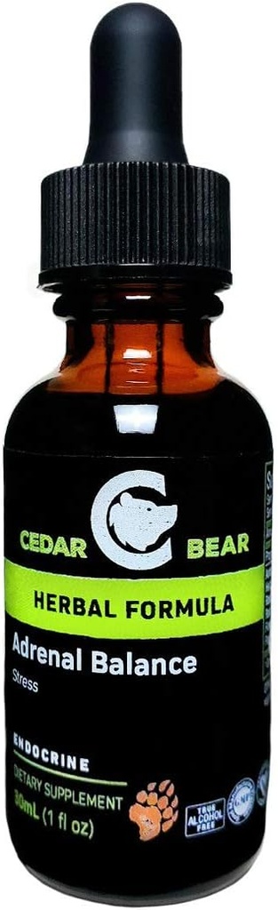 Cedar Bear Równowaga nadnerczy - płynny suplement ziołowy z Adaptogens, że walczy zmęczenie, Zarządzanie stresem i zwiększenie energii 1 fl oz / 30 ml