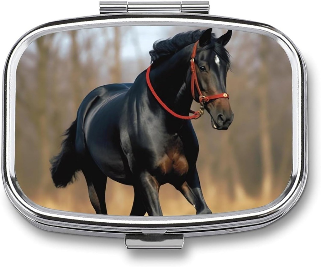 Skrzynka na pióro Przenośny pióro skrzynka na Pocket Horse na Trawnik Travel Small Pill Organizer 2 Kontener na metalowy pióro do medycyny Vitamin Fish Oil Supplements