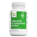Terry Natural Stomach & Relief jelit - Suplement do pomocy Dozownik Zdrowie i Połykanie jelit - Pomoc Przeciwko sporadyczne Spożywczy dyskomfort Soothe Stomach - 60 Kapsułki