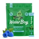Waterboy Workout Hydration 124; 2,960mg Sugar Free Electrolyte Powder Pakiety Bis124; L- glutamina + witaminy 124; No Sugar, All Natural, Gluten Free 124; 15 Drink Stick Mixes (Blue Malina)