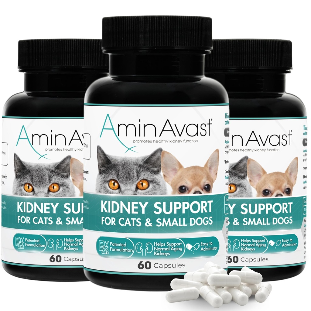 Aminavast Nerki Supplement Supplement for Cats and Small Dogs, 300mg 3- Pack - Promotes Natural Nerki Function - Aid in Health and Vitality of Aging Nerki - Easy Administrated - 60 Sprinkle kapsułki