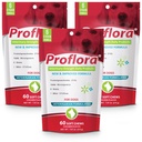 Proflora Probiotic Soft Chews for Dogs - Veterinary-Strength Daily Probiotic - Trawienie Zdrowie - Boost Immune System - Skóra i Coat Health - 180 Soft Chews