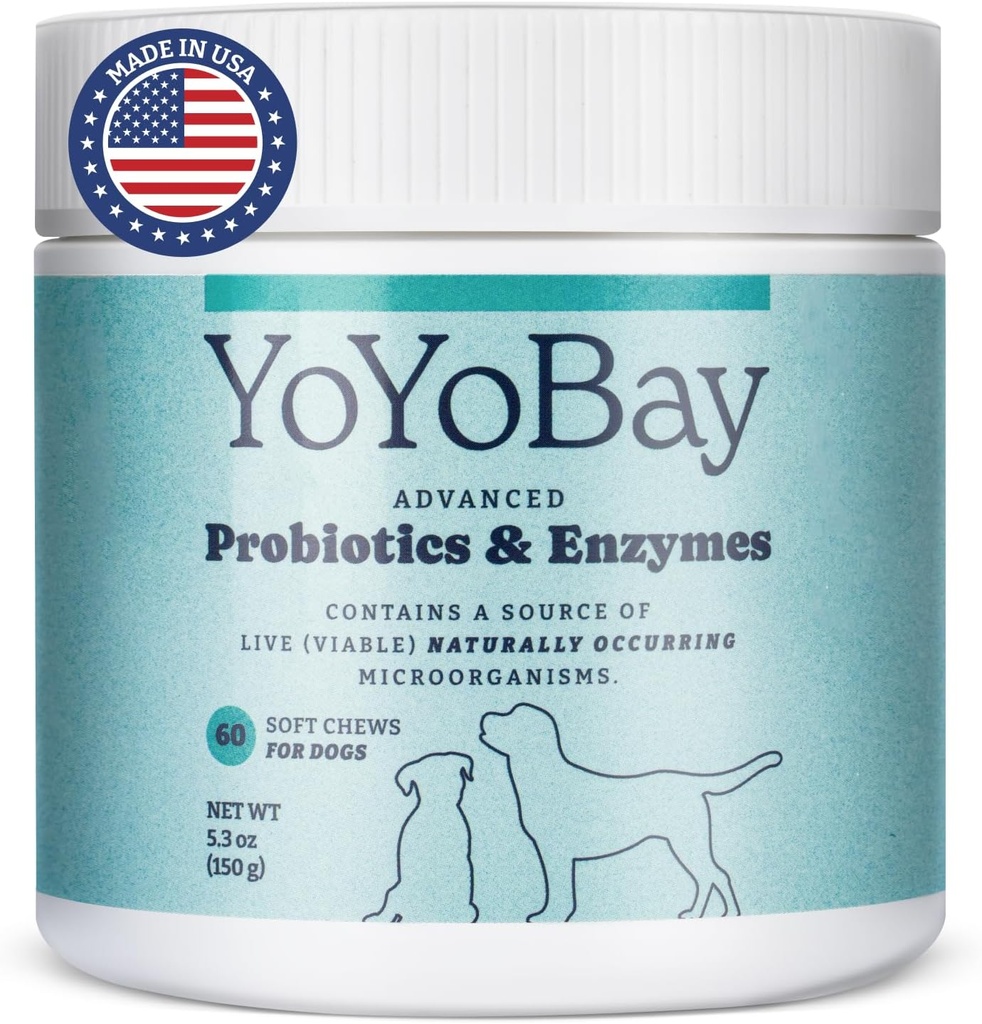 Probiotyki dla psów, dla Gut Health and Digestive Health, Równowaga Yeast, Wsparcie immunologiczne, Psy Probiotyki i Enzymy Digestive, Ponad 1 Miliard CFU, 60 Soft Chews